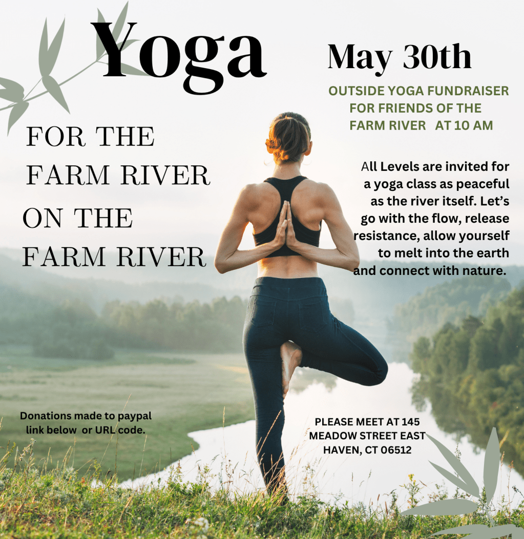 yoga fundraiser flyer